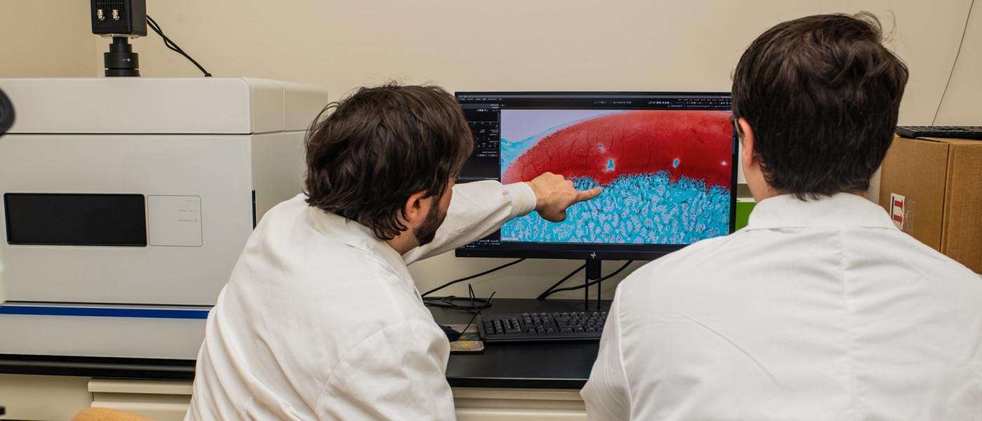 两个学生在电脑上查看放大的显微镜图像